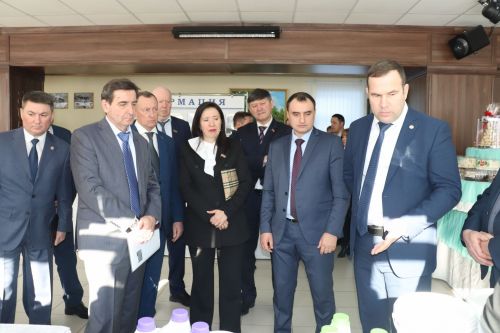 XXI заседание Совета Алькеевского муниципального района.
