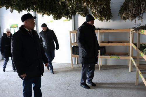 XXI заседание Совета Алькеевского муниципального района.