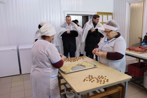 XXI заседание Совета Алькеевского муниципального района.