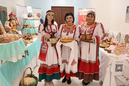 День Алькеевского района в Казани
