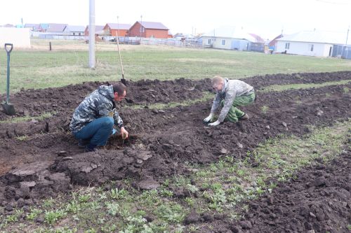 День посадки леса