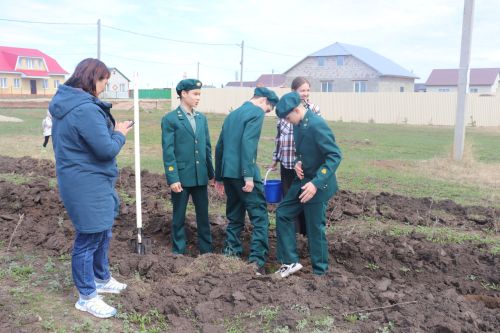День посадки леса