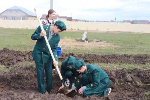 День посадки леса
