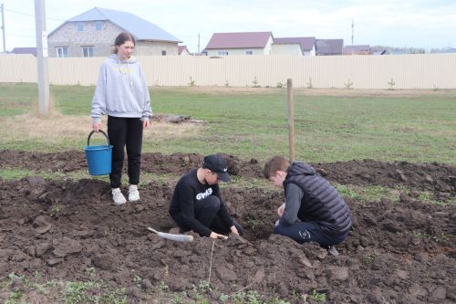 День посадки леса