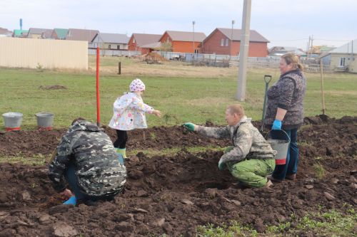 День посадки леса