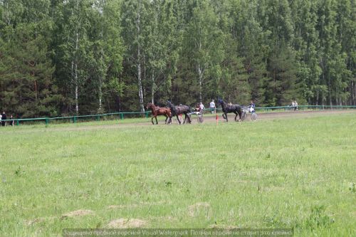 Сабантуй в Алькеевском районе 2024