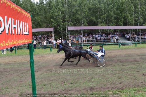 Сабантуй в Алькеевском районе 2024
