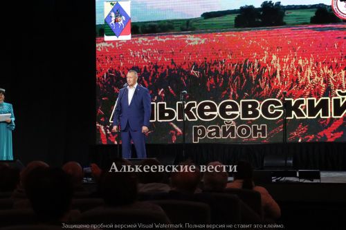 День культуры Алькеевского района в Казани