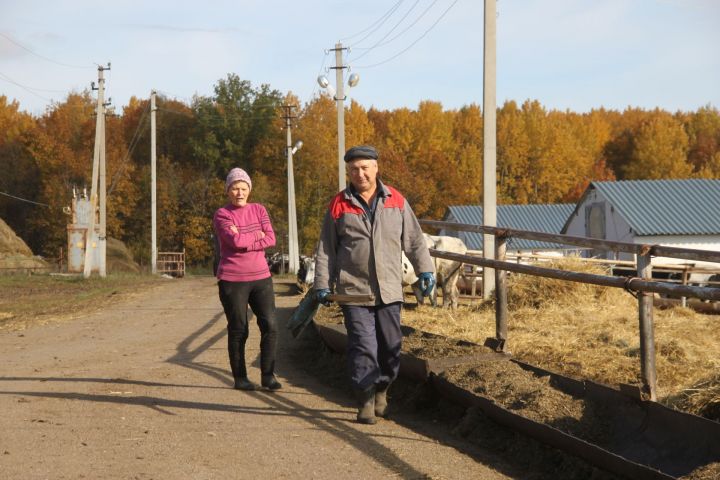 Алькеевский район: открытие фермы Бибаево Челнах стало радостным событием для всей деревни