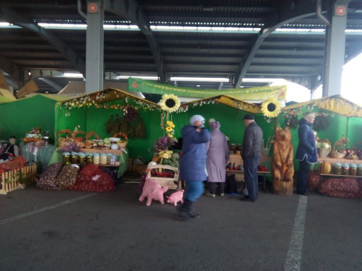 Школы и профессиональное училище Алькеевского района реализовали на Казанской ярмарке товаров на 40 тысяч рублей