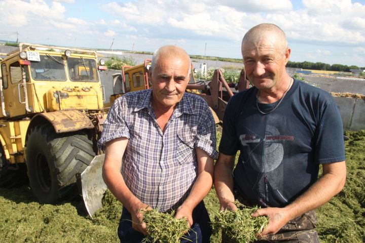 Мы побывали в отряде «Каргопольском» филиала «Центральное Алькеево» «КВ–Агро» и увидели, как организована закладка сенажа. ФОТО