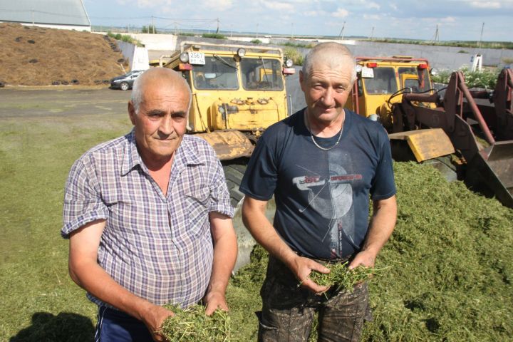 Мы побывали в отряде «Каргопольском» филиала «Центральное Алькеево» «КВ–Агро» и увидели, как организована закладка сенажа. ФОТО