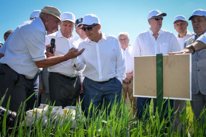 Айрат Хайруллин: «День поля-2018» доказал, что у нас достаточно потенциала для создания высокоэффективного и устойчивого сельского хозяйства»