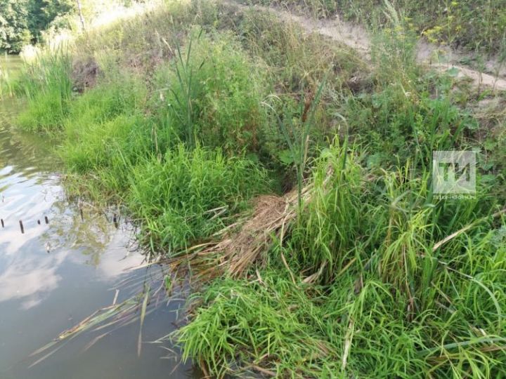 В Алькеевском районе возле поселка Юлдуз в пруду утонул рыбак. ФОТО