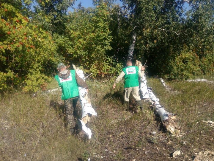 Алькеевцы принимают активное участие в республиканской природоохранной акции «Неделя леса – 2018».ФОТО