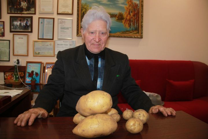Житель Базарных Матак Алькеевского района Марат Хамитов с одного куста картофеля получил три килограмма урожая