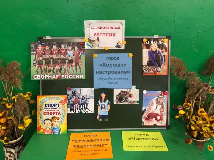 В Нижнекачеевской библиотеке Алькеевского района прошел час полезного совета