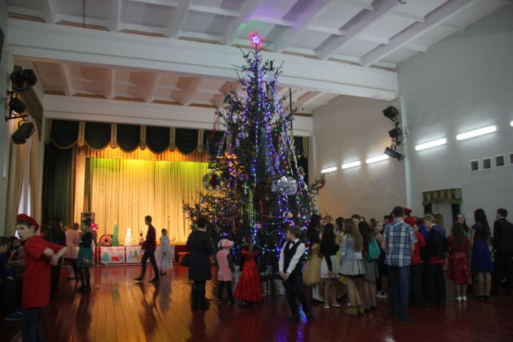 В Алькеевском районе в новогодние праздники будут организованы различные мероприятия