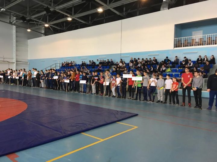 В Алькеевском районе прошли соревнования по национальной борьбе на призы главы района. Фото