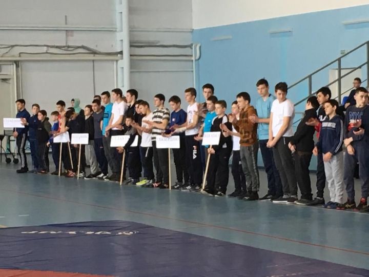 В Алькеевском районе прошли соревнования по национальной борьбе на призы главы района. Фото