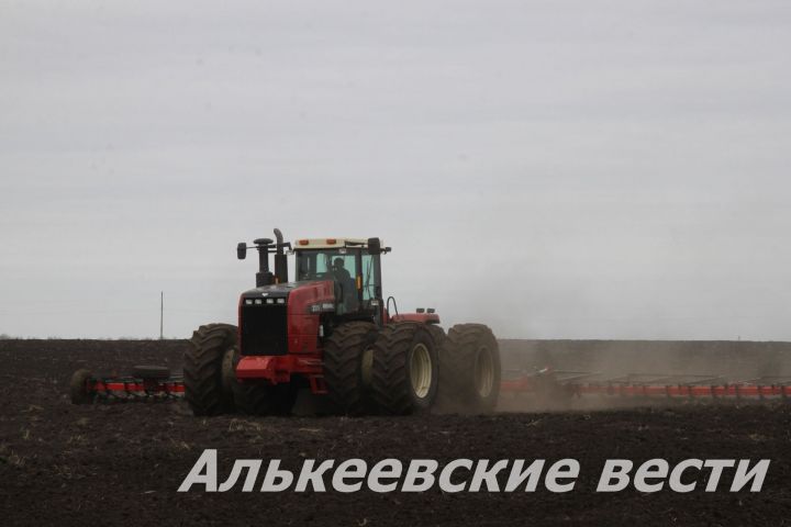 В Алькеевском районе придется заново посеять 3160 гектаров полей, занятой озимой пшеницей