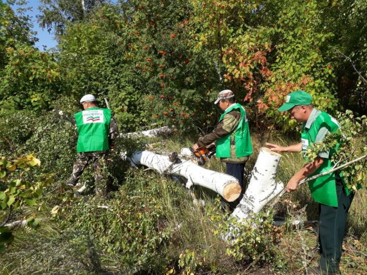 Алькеевский район участвует в акции «Чистые леса Татарстана»