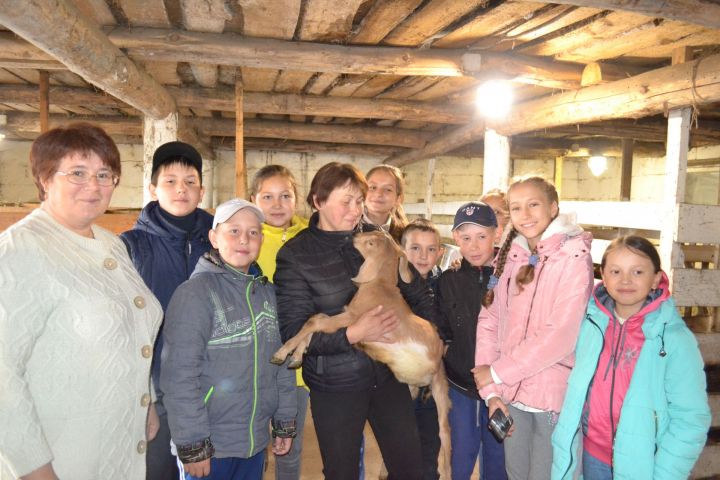 Дети, отдыхающие в лагере «Дубки», побывали с экскурсией на козьей ферме Нины Агаповой