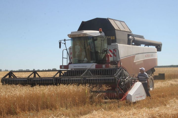 В филиале «Южно-Восточное Алькеево» «КВ-Агро» завершили уборку зерновых.