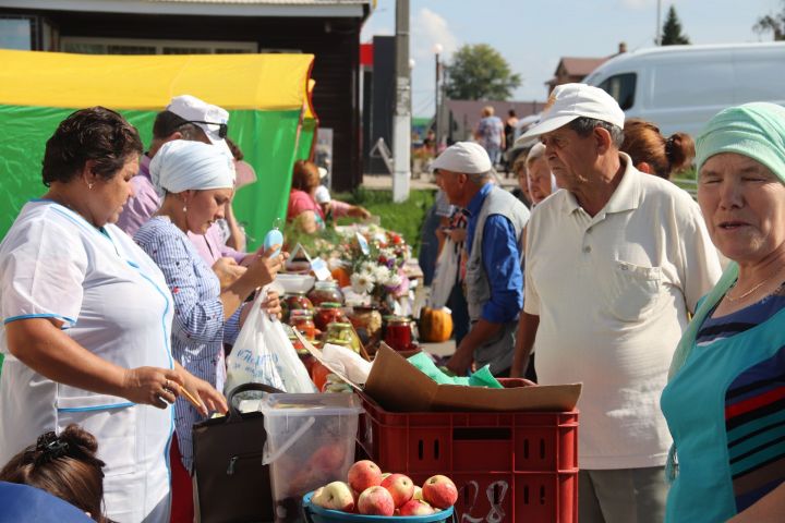 Ярмарка школ Алькеевского района поразила представителя Минобразования