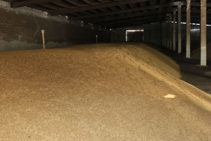 В Алькеевском районе завершена уборка зерновых