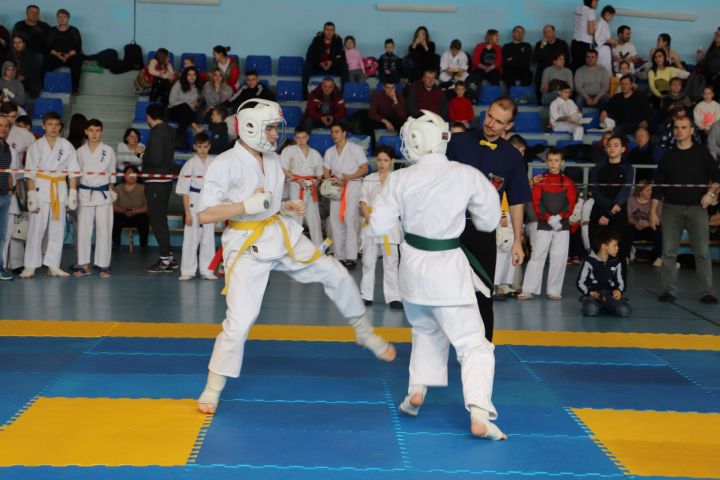 Чемпионат республики по киокусинкай прошел в Базарных Матаках