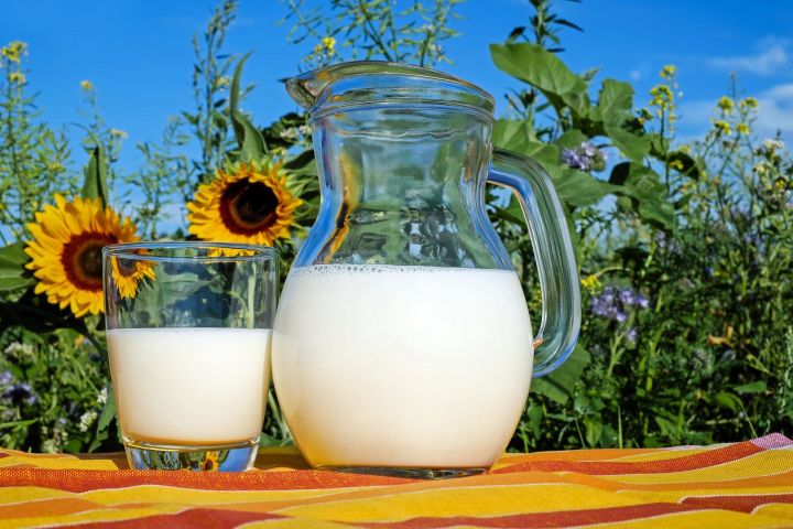 Алькеевский район: предприниматель Дамир Шайхутдинов принимает молоко по цене 24 рубля за кг
