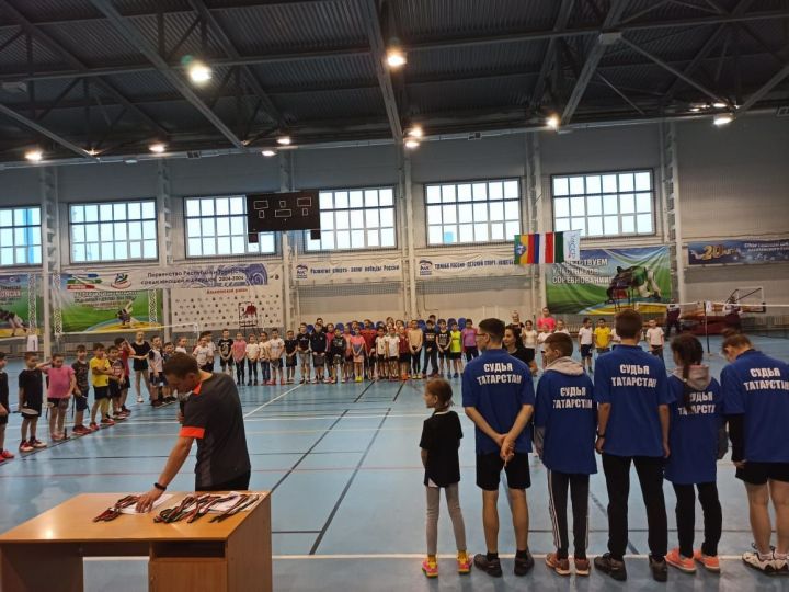 Бадминтонисты Алькеевского района заняли призовые места в зональных соревнованиях
