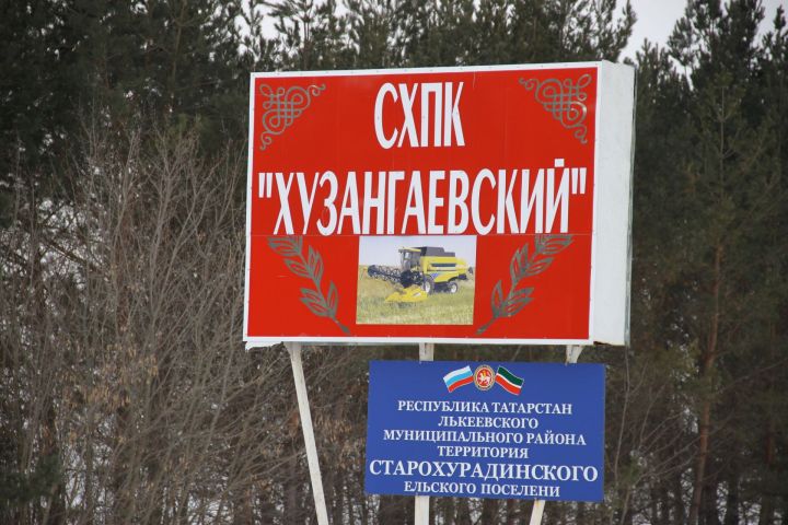 В обществе «Хузангаевское» Алькеевского района завершена подкормка озимых