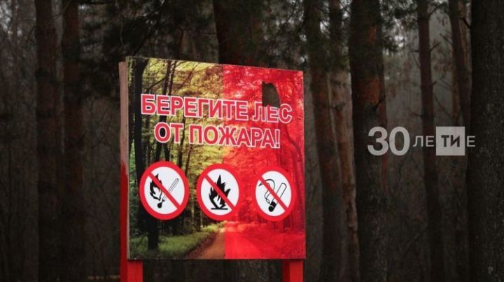 Две станции для тушения лесных пожаров появятся в Татарстане