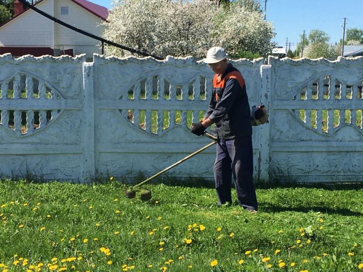 Алькеевский район: на улицах началась борьба с сорняками