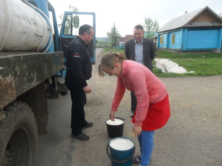 Из Алькеевского района ежедневно отгружается 193 тонны молока