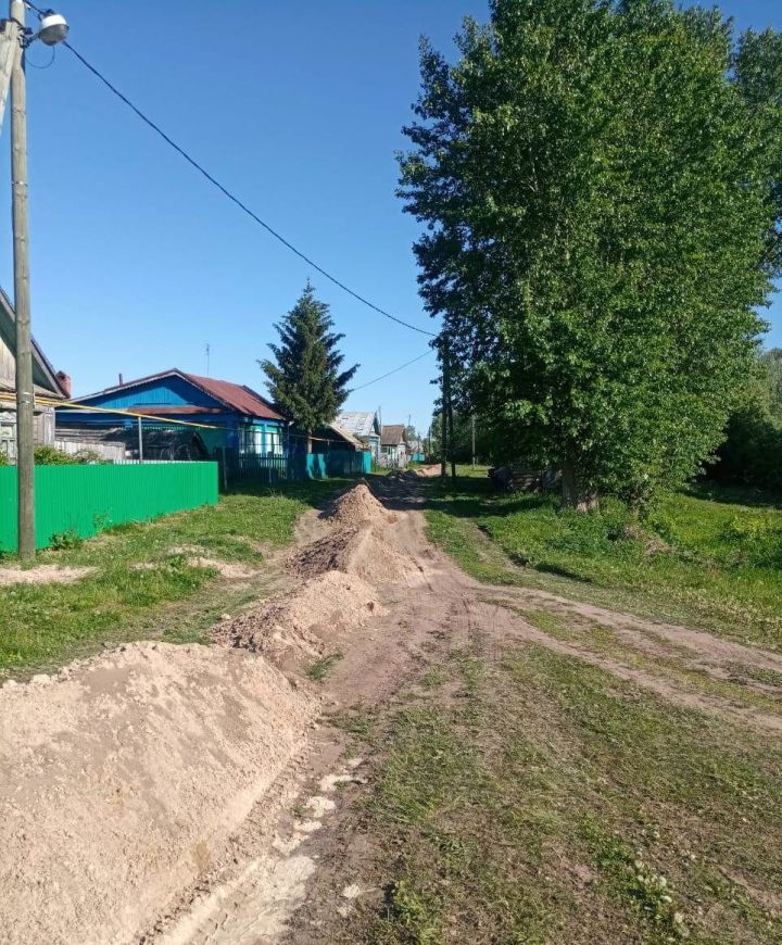 В Борискинском сельском поселении Алькеевского района начался ремонт дорог