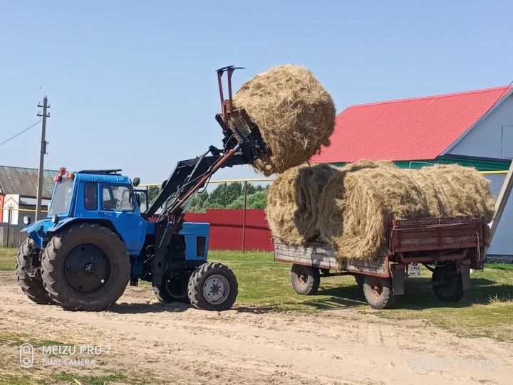 Алькеевский район: в Борискинском сельском поселении считают заготовку сена делом государственной важности