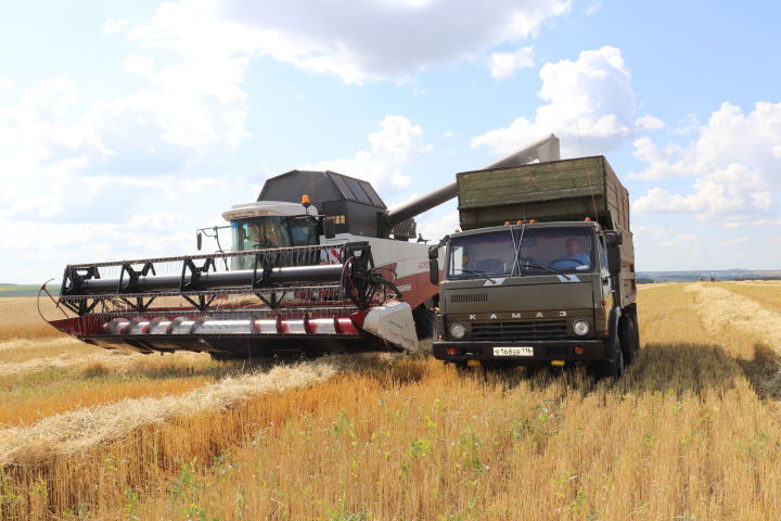 Алькеевский район: общество «Хузангаевское» завершило уборку озимой пшеницы