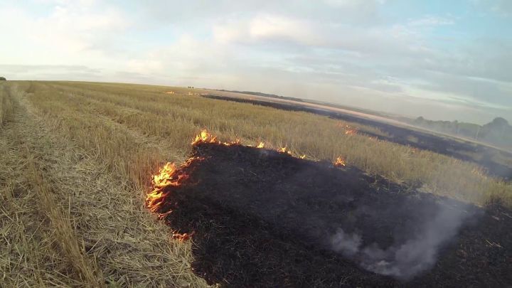 В Алькеевском районе произошло возгорание стерни