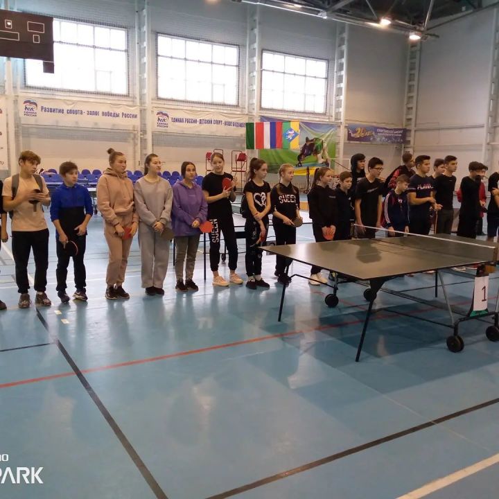 В Алькеевском районе состоялся турнир по настольному теннису памяти Руслана Шарафутдинова