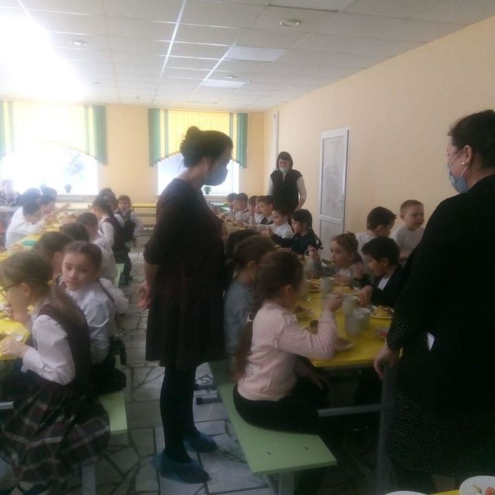 Алькеевский район: родители довольны качеством питания детей в гимназии