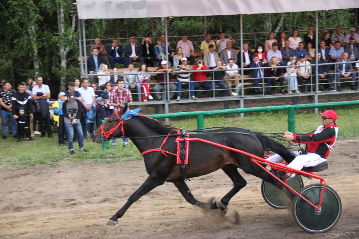 На конных скачках в Алькеевском районе наградили не только победителей, но и тех, кто пришел последним