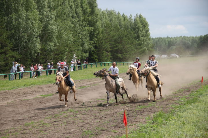 На конных скачках в Алькеевском районе наградили не только победителей, но и тех, кто пришел последним