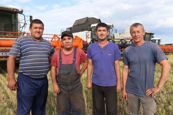 Алькеевский район: в отряде «Борискино» планируют завершить уборку зерновых через две недели