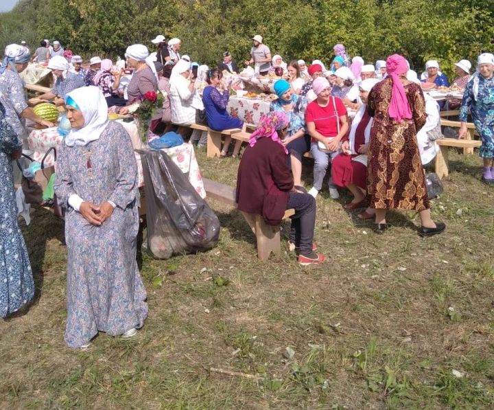 Алькеевский район: Гульсина Мурадимова принялась за благоустройство родника в своем селе