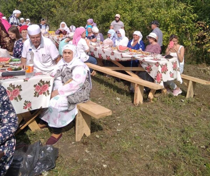Алькеевский район: Гульсина Мурадимова принялась за благоустройство родника в своем селе