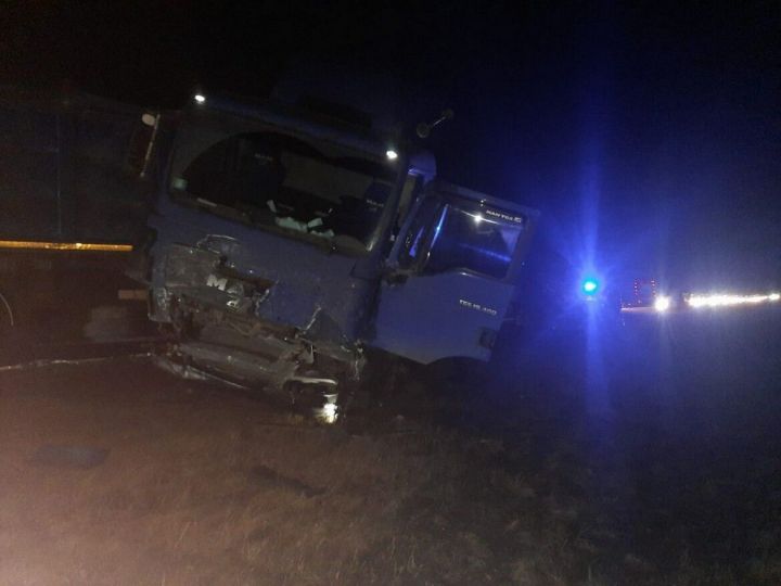 Причиной смертельной аварии в Чистопольском районе стал кабан