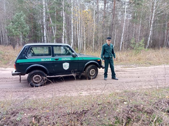 В Алькеевском районе в ходе патрулирования лесных участков выявлены нарушения
